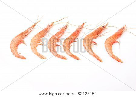 Row Of Spanish Rice Shrimps
