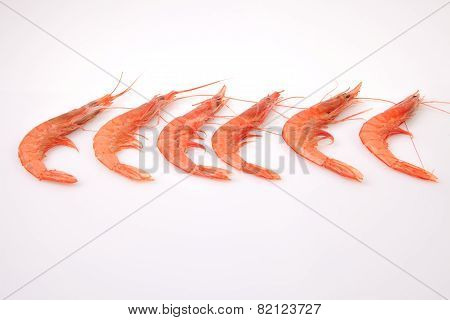 Row Of Spanish Rice Shrimps