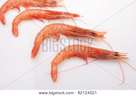 Row Of Spanish Rice Shrimps