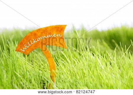 Label With German Willkommen Which Means Welcome On Green Grass