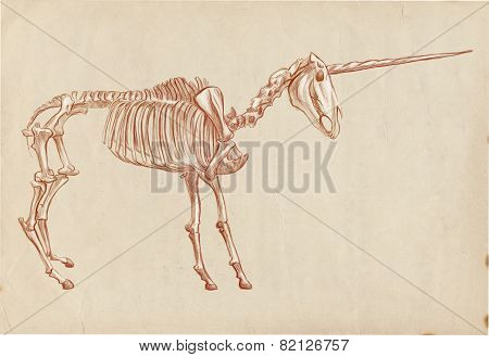 Legendary Animals And Monsters: Unicorn