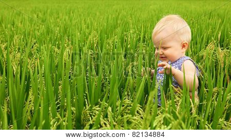 Little girl in the rice field