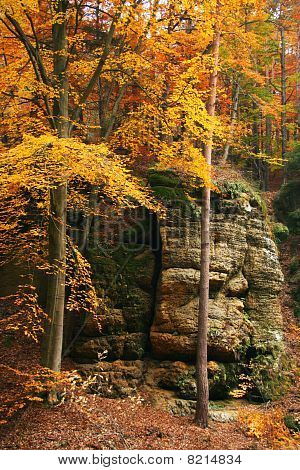 Autumn scenery