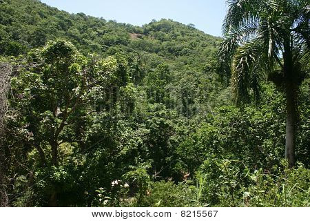 Montagne della Repubblica Dominicana