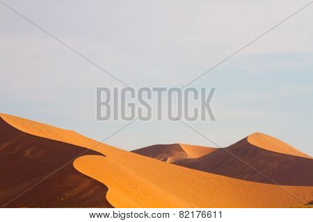 Shadows cast on curves of Sossusvlei