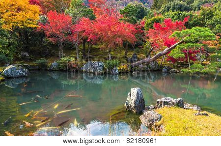 Tenryu-ji Garden In Fall, Arashiyama, Kyoto, Japan