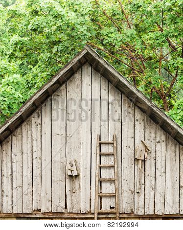 Old broken bird houses