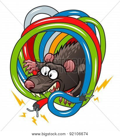 Rat Gnawing Wires