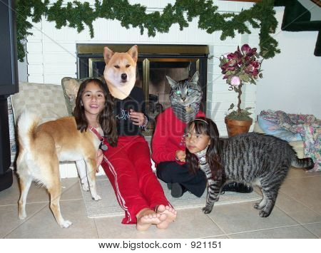 元首交换与狗和猫的女孩