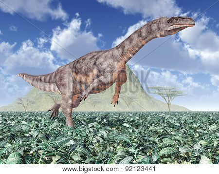Dinosaur Plateosaurus