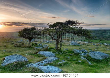 Coombestone Tor On Dartmoor