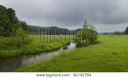 The green meadow