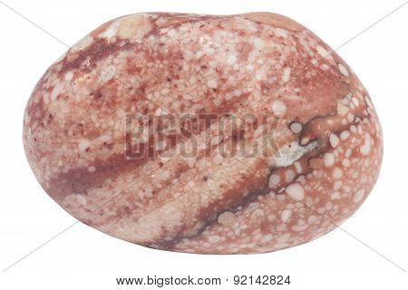 Small Pebble Of Red Jasper Macro Isolated On White