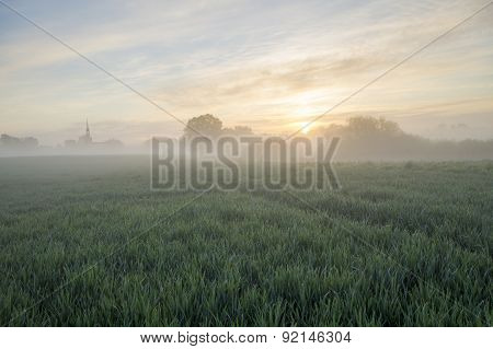 beautiful, misty sunrise on a field near the village
