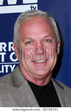 LOS ANGELES - MAY 28:  Jim Carroll at the WE tv's 