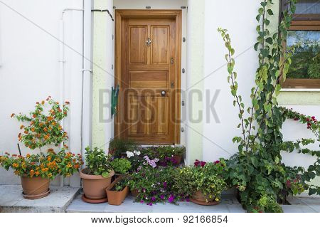 Beautiful Door