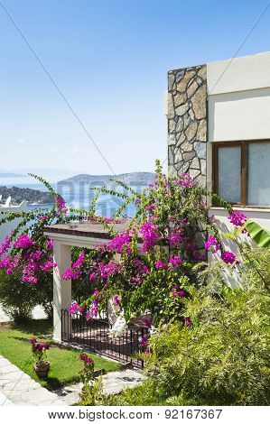 Bodrum House
