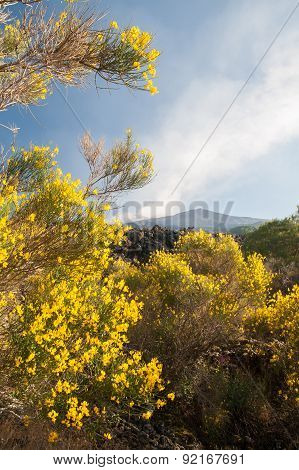 Etna Landscapes