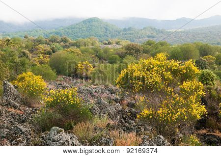 Etna Landscapes