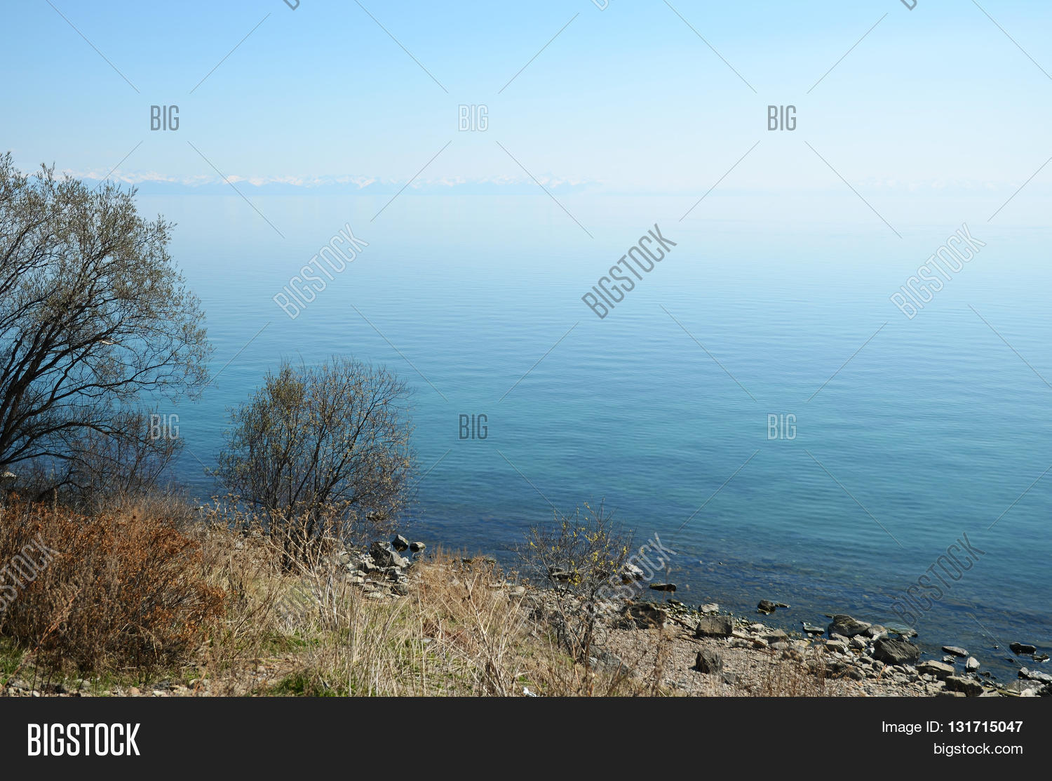 Image Preview
