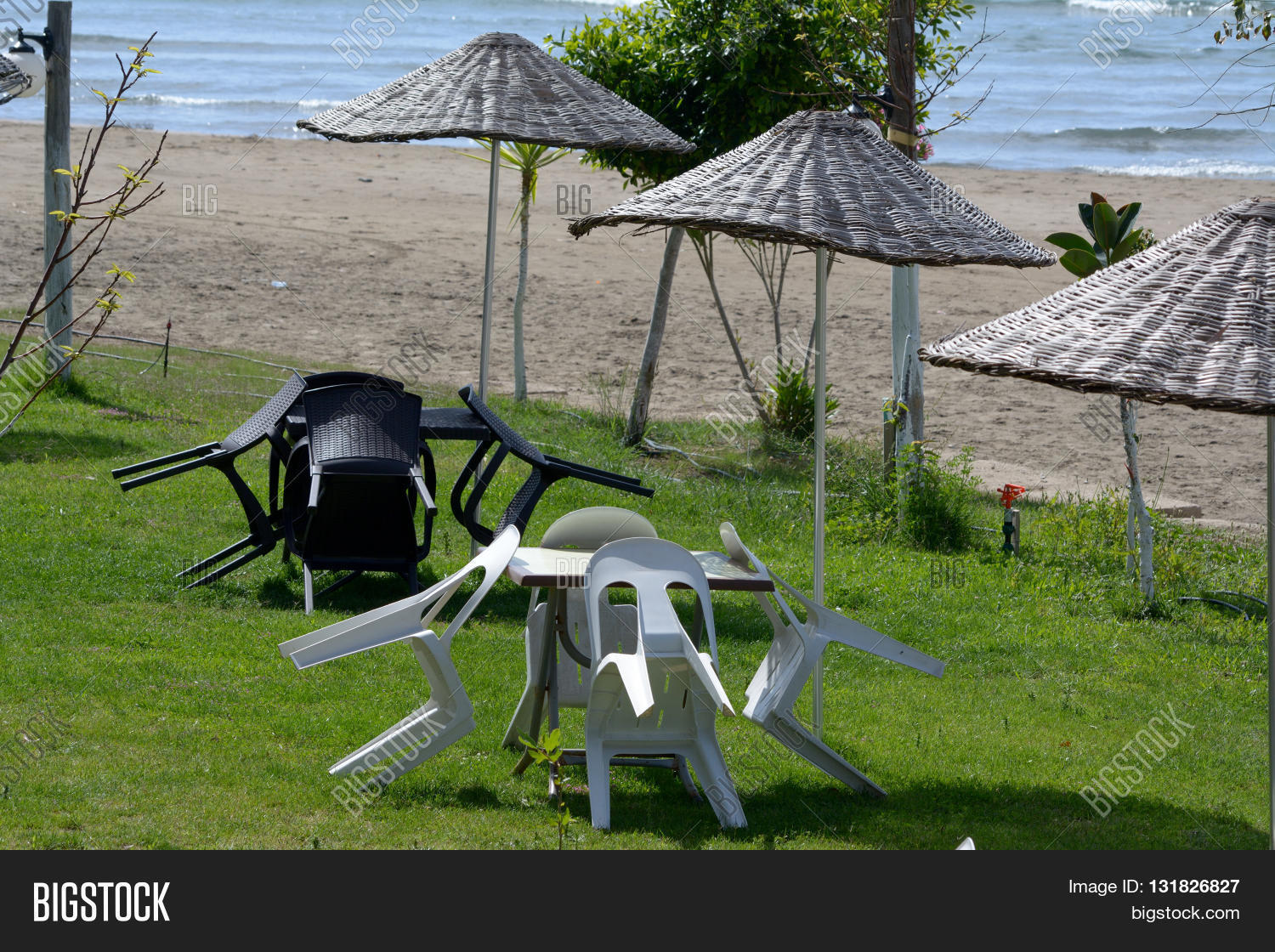 Image Preview