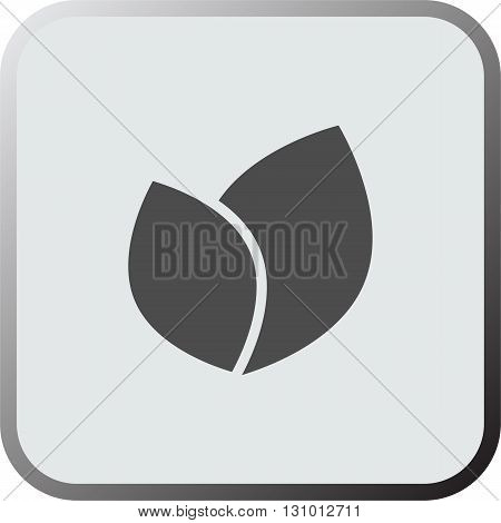 Leaf icon. Leaf  icon art. Leaf  icon eps. Leaf  icon Image. Leaf  icon logo. Leaf  icon sign. Leaf  icon flat. Leaf  icon design. Leaf  icon vector.
