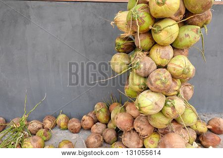 Pile of raw coconuts with bunches ,Thailand