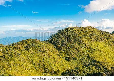Sub Alpine Mountain Peaks Covered With Forest And A Cloudy Sky.