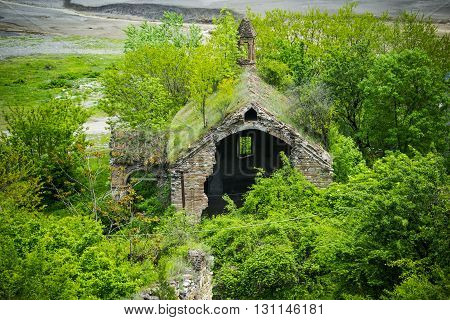 This is a photo of the Abandoned overgrown house