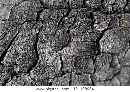 Charred wood with cracks . Charcoal. Firewood.