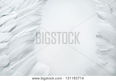White feather