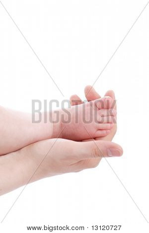 ein Blatt von einem Mather. in Schuß. isoliert auf weiss.