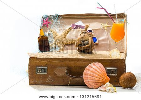 Full open suitcase travel concept  isolated on white selective focus