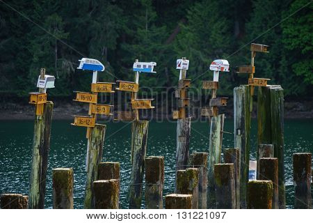 Bird Houses atop cement pilings at Tod Inlet.