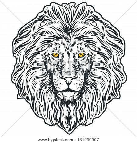 Vector illustration, template for your design and decoration