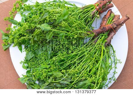 Neem leaves and flowers on a plate Top view