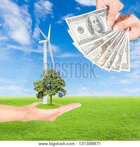 Carbon credits concepthand holding wind turbine with tree and US Dollars banknote against green field and blue sky background