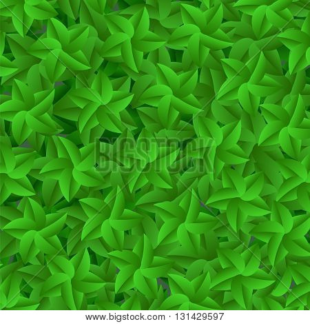 Green Leaves Pattern. Evergreen Hedgegrow. Summer Leaves Background