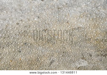 plenty droplet of water on the ground