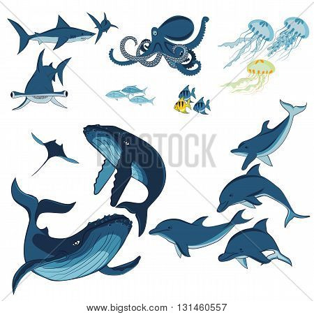 marine animals and fish whales dolphins sharks octopus jellyfish and fish isolated on white background vector illustration