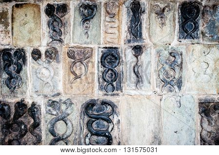 Wall full of carved snakes in honor of shiva, Belur, Karnataka, India