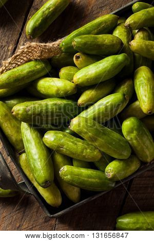 Raw Green Organic Tindora