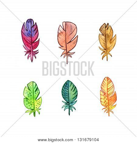 set of watercolor drawing feathers, ornate color plumelet isolated at white background, hand drawn elements