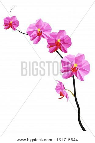 Low poly vector pink beautiful magnolia flower.