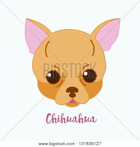 Vector dog Chihuahua icon flat design.Dog characters. Cartoon vector illustration handmade. Head dog. Icon with dog isolated on white background.