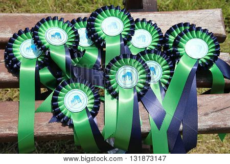 Group of four perfect equine rosette ribbons for prize winner horses