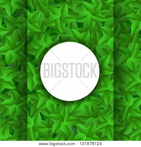 Green Leaves Pattern. Evergreen Hedgegrow. Summer Leaves Background
