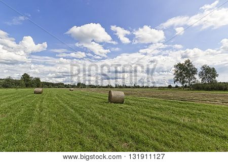 Haystack on a green field sunny summer day