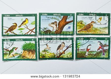 Uzhgorod, Ukraine - Circa May, 2016: Collection Of Postage Stamps Printed In Cuba Correos Shows Bird