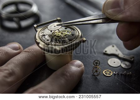 Process Of Installing A Part On A Mechanical Watch, Watch Repair